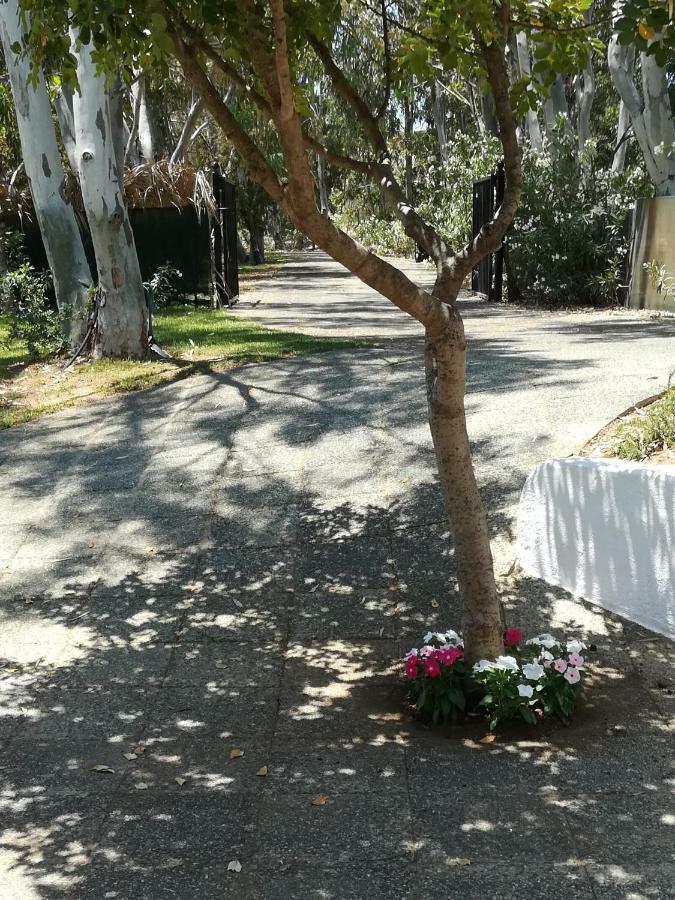 Ktima Grammeno Beachside Villa Παλαιοχώρα Εξωτερικό φωτογραφία